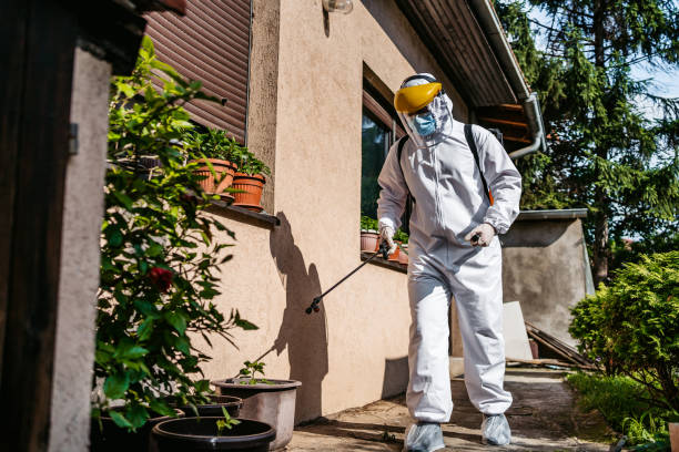 Best Affordable Exterminators  in Godfrey, IL